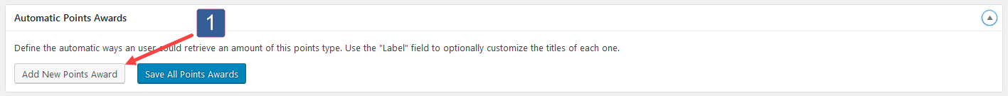 Selecting Add New Points Award
