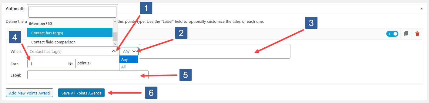 Configuring Add New Points Award For Contact Tag